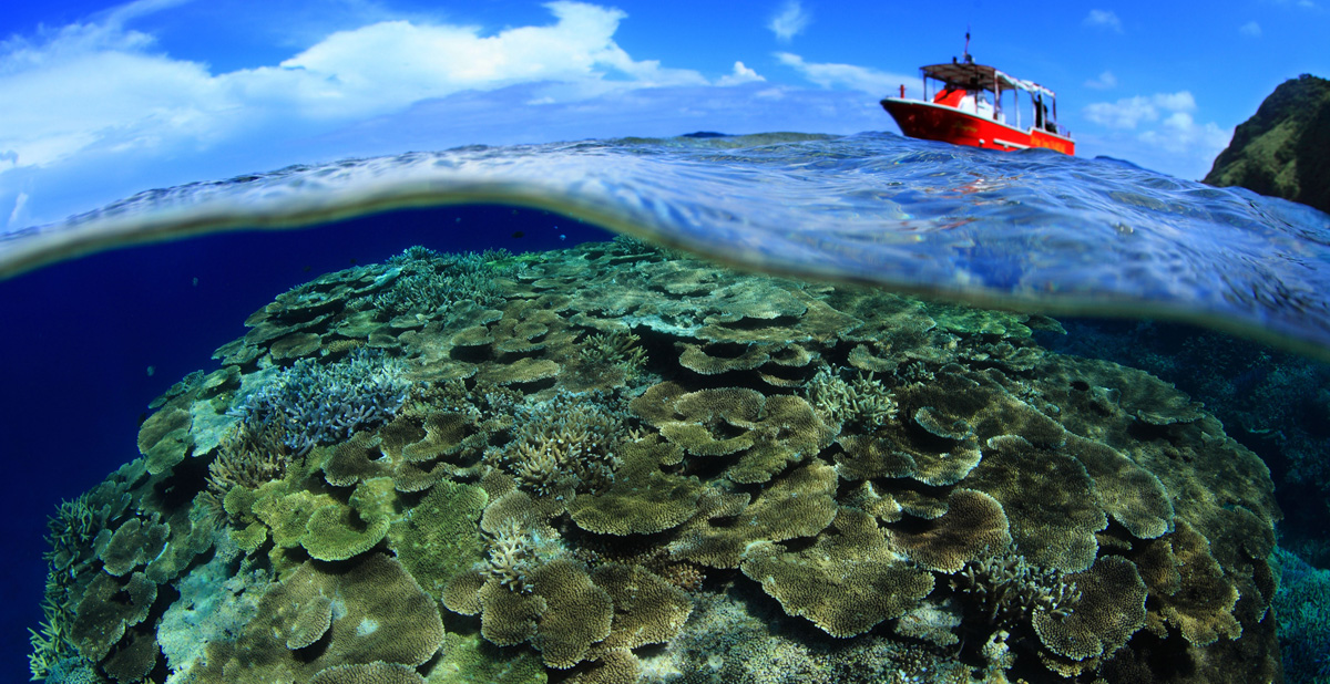Okinawan Discovery to Strength and Longevity: Okinawa Coral Calcium