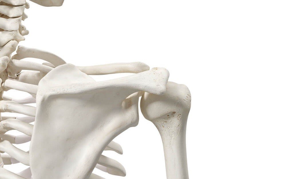 4 Effective Tips for Bone and Joint Health